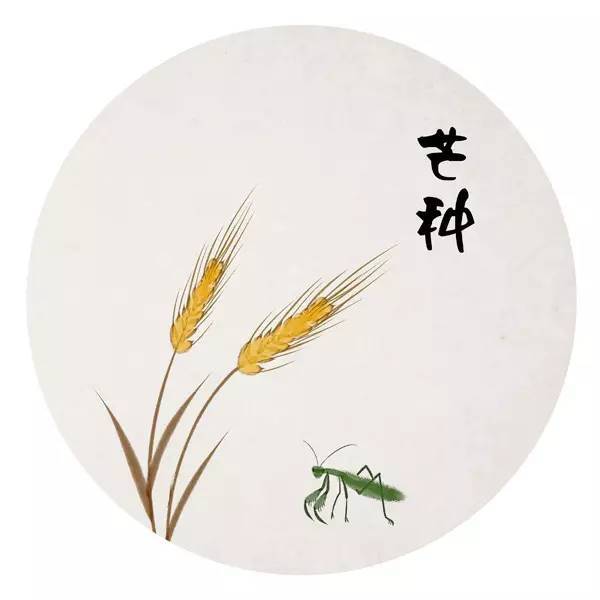 微信图片_20250605105723.jpg