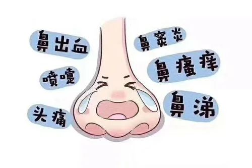 微信图片_20250613170013.jpg
